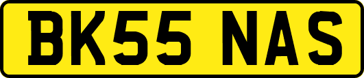 BK55NAS