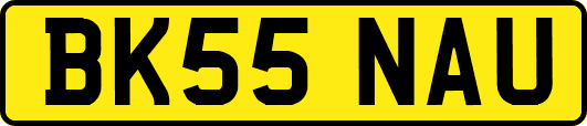 BK55NAU
