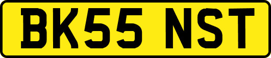BK55NST