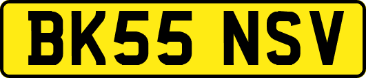 BK55NSV