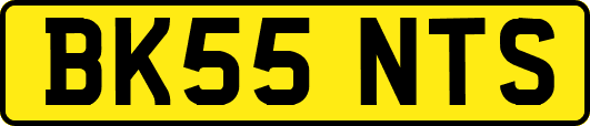 BK55NTS