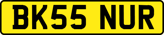 BK55NUR