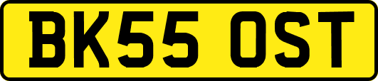 BK55OST
