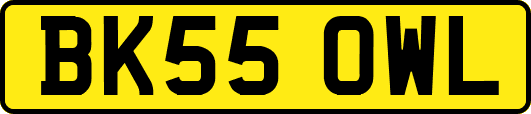 BK55OWL