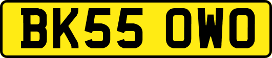 BK55OWO
