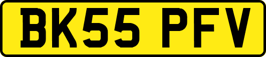 BK55PFV