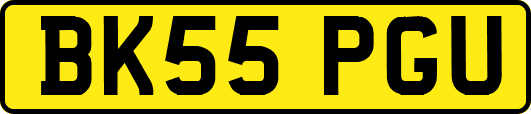 BK55PGU