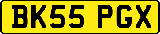 BK55PGX