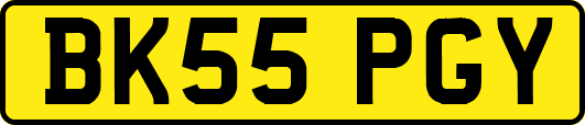 BK55PGY