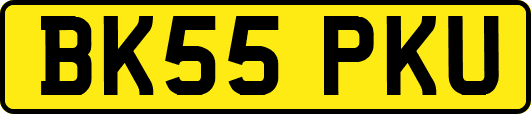 BK55PKU