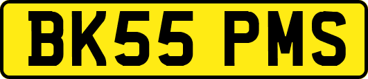 BK55PMS