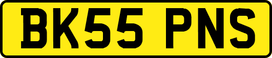 BK55PNS