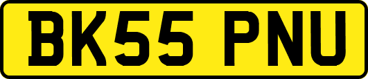 BK55PNU