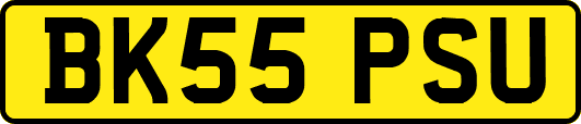 BK55PSU
