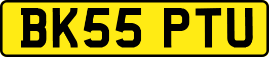 BK55PTU