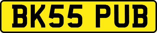BK55PUB