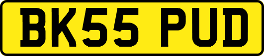 BK55PUD