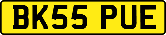 BK55PUE