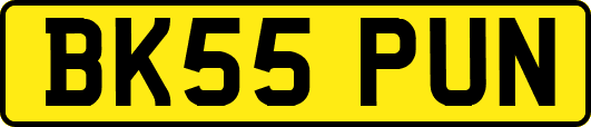 BK55PUN
