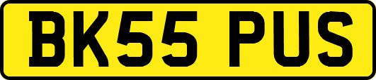 BK55PUS