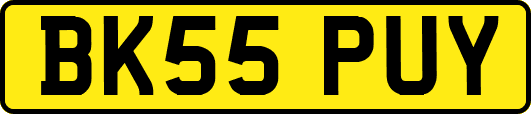 BK55PUY