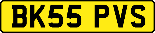 BK55PVS