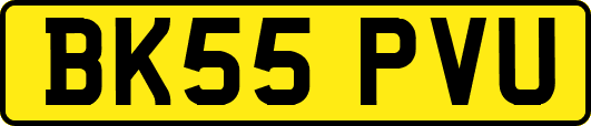 BK55PVU