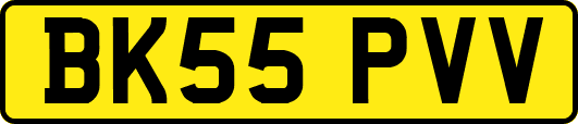 BK55PVV