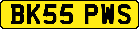 BK55PWS