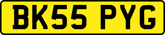 BK55PYG