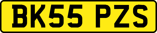 BK55PZS