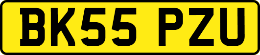 BK55PZU