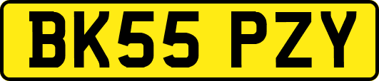 BK55PZY