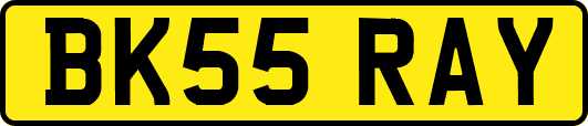 BK55RAY