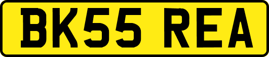 BK55REA