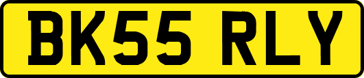 BK55RLY