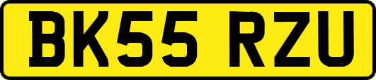 BK55RZU