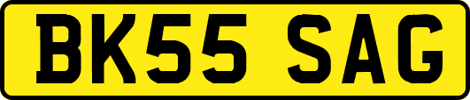 BK55SAG
