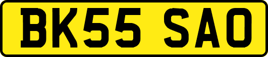 BK55SAO