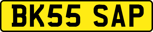 BK55SAP