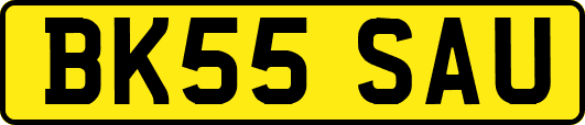 BK55SAU