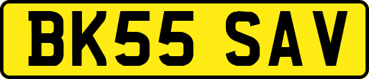 BK55SAV