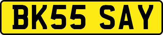 BK55SAY