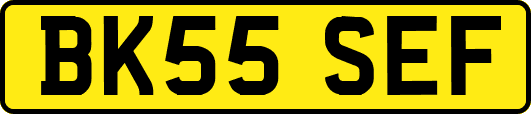 BK55SEF