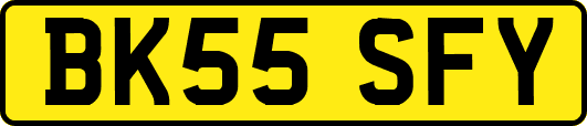 BK55SFY