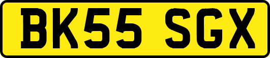 BK55SGX