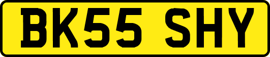 BK55SHY