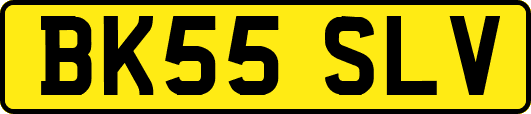 BK55SLV