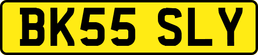BK55SLY