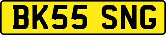 BK55SNG